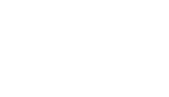 merit01